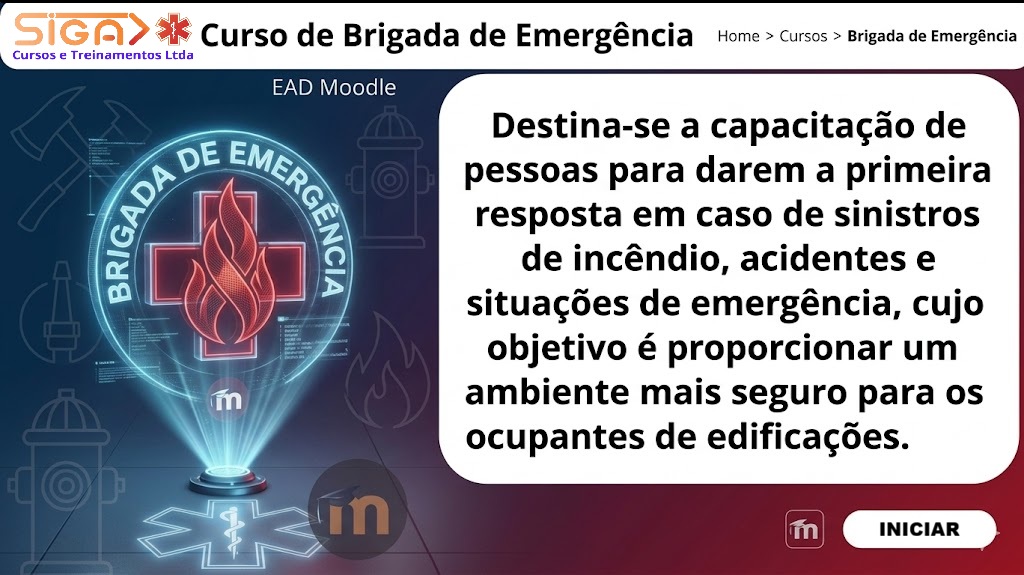brigadistas